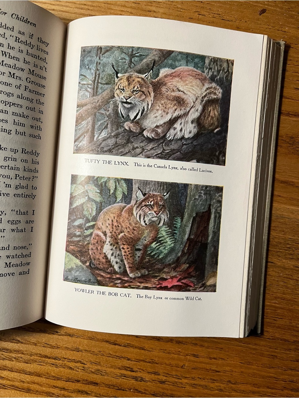 1920 Burgess Animal Book for Children - Hardcover color bookplates - Picture 3 of 16
